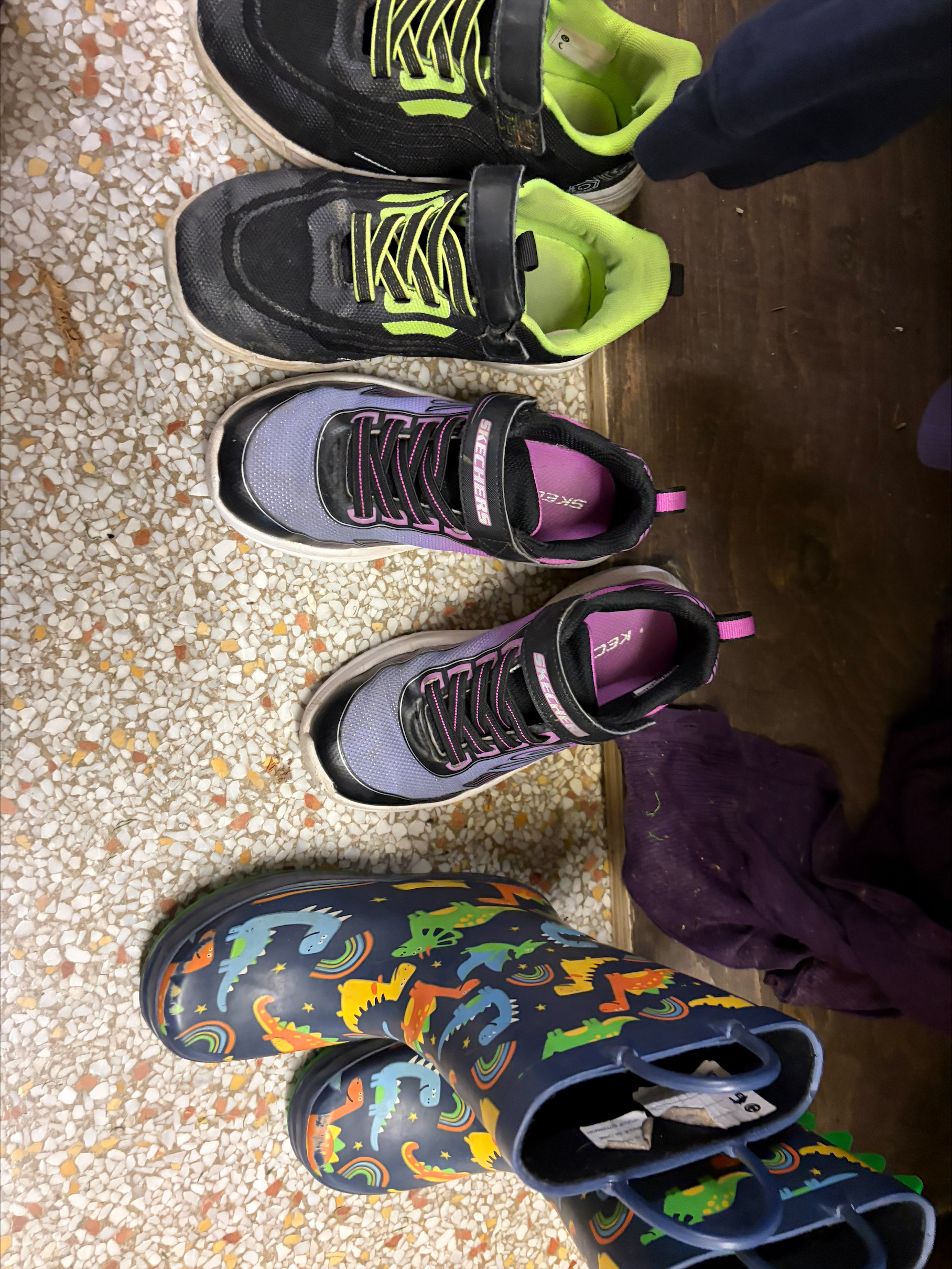 LF 4